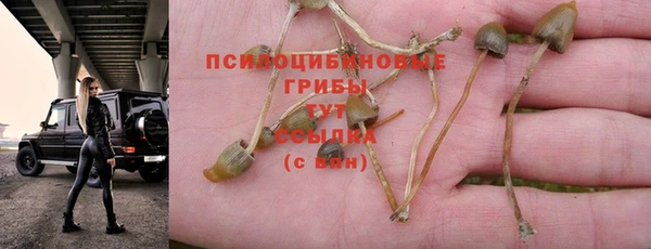 прущий лед Пролетарск