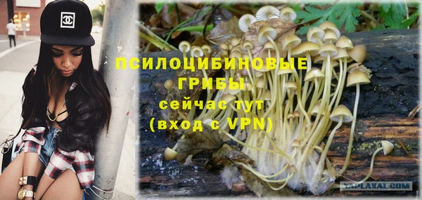 прущая мука Приозерск