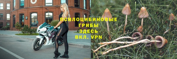 прущий лед Пролетарск