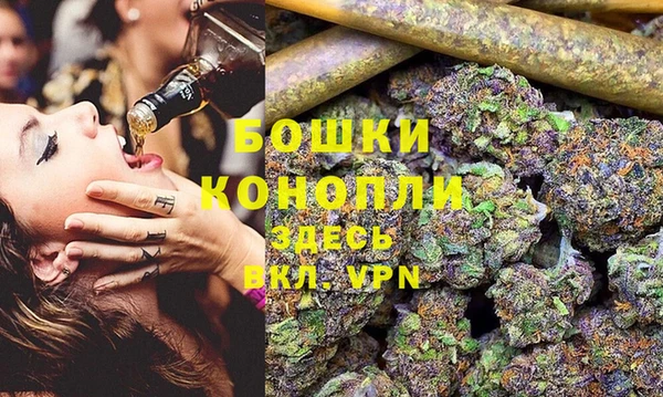 PSILOCYBIN Протвино
