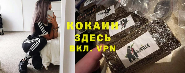 PSILOCYBIN Протвино