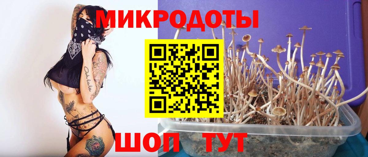 Псилоцибиновые грибы мухоморы  сколько стоит  Темрюк  Вход с VPN 